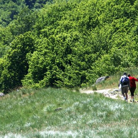 Le Velo Rouge Leilighet Le Puy-en-Velay Eksteriør bilde
