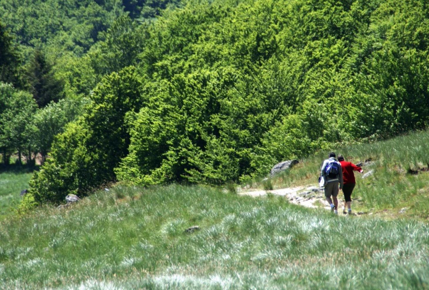 Le Velo Rouge Leilighet Le Puy-en-Velay Eksteriør bilde
